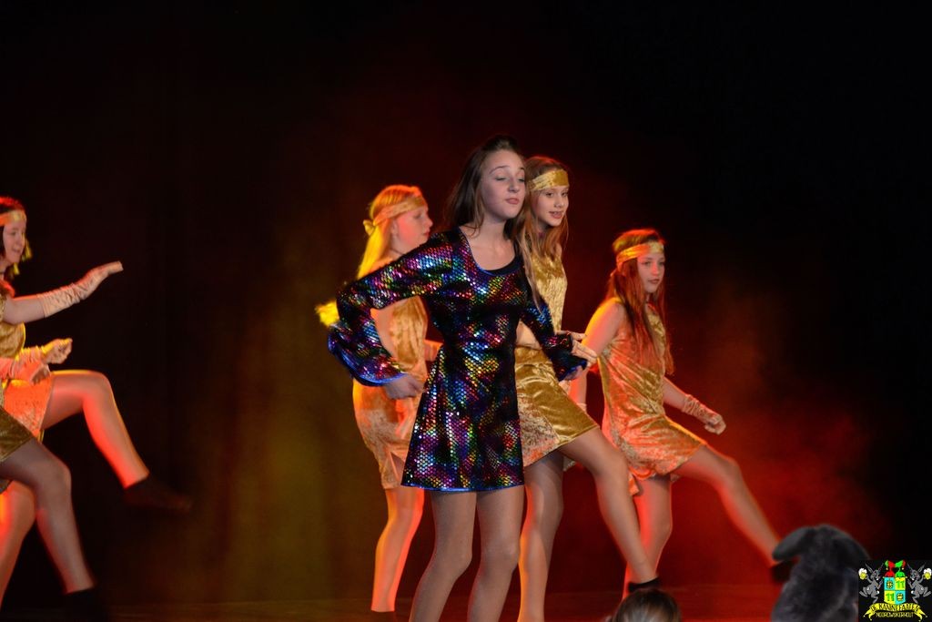 ../Images/Dansmarieke festival 2018 292.jpg